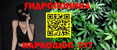 сатива Краснознаменск