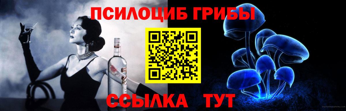 Киров  Галлюциногенные грибы прущие грибы  Галлюциногенные грибы прущие грибы  Вход с VPN 
